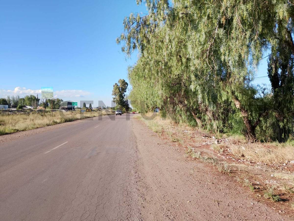 Terreno en Venta en Lujan de Cuyo, Mendoza