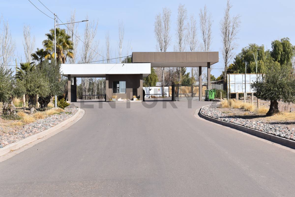 Terreno en Venta en Maipu, Mendoza