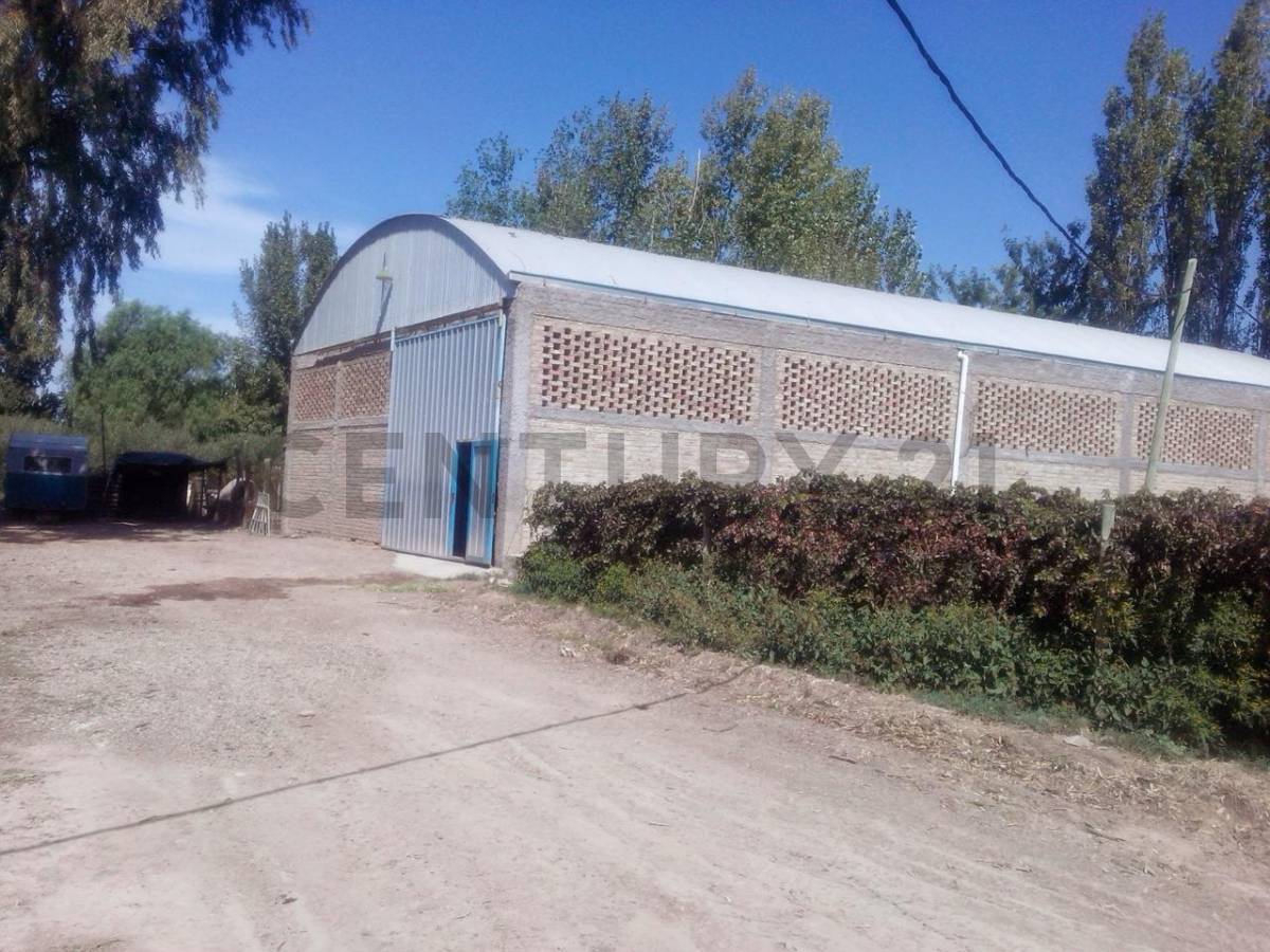 Campo en Venta en Lavalle, Mendoza