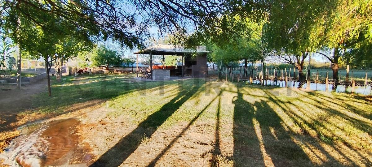 Casa Quinta en Venta en Lavalle, Mendoza