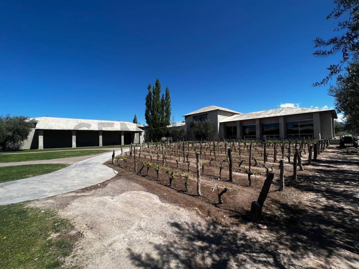 Terreno en Venta en Lujan de Cuyo, Mendoza