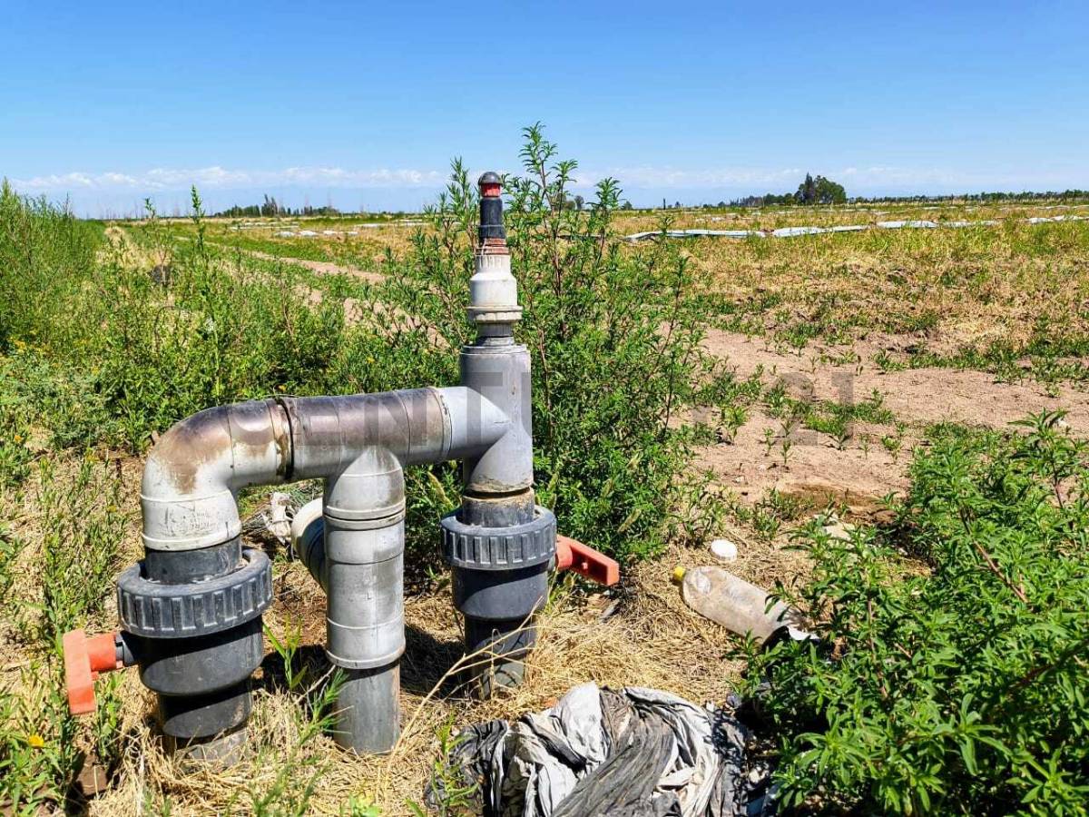 Campo en Venta en San Martin, Mendoza