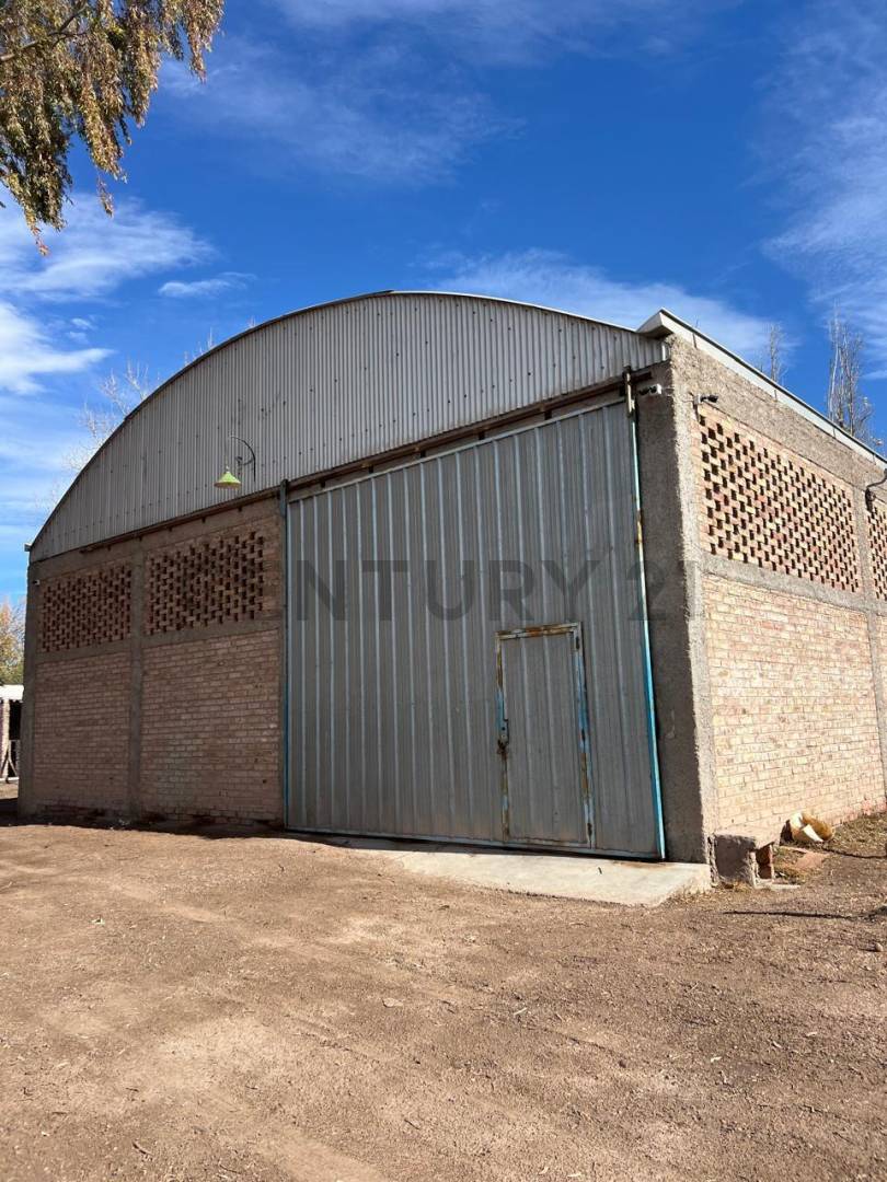 Campo en Venta en Lavalle, Mendoza