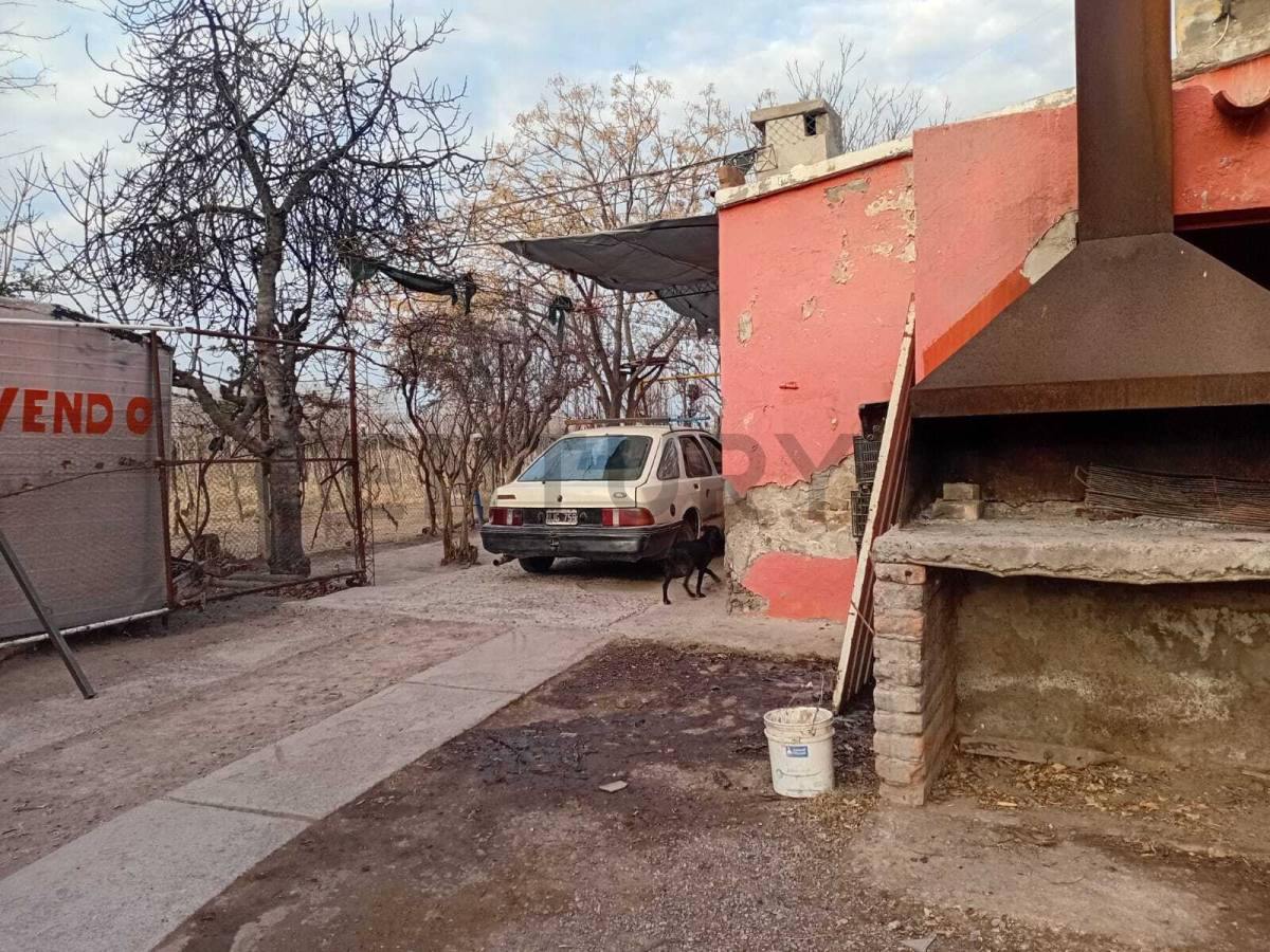 Campo en Venta en San Martin, Mendoza