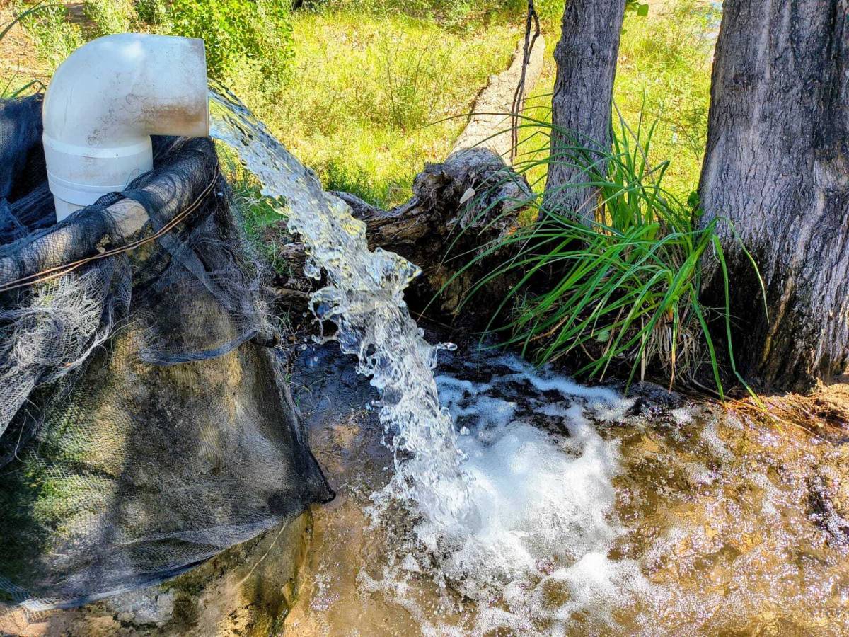 Campo en Venta en San Martin, Mendoza