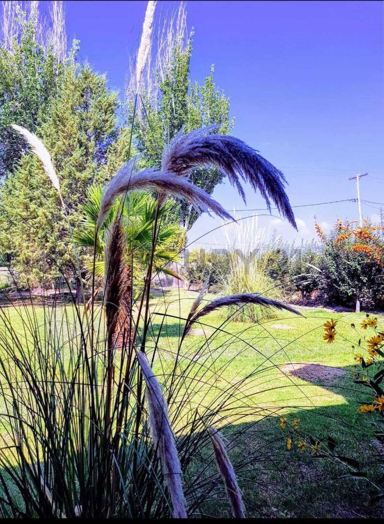 Casa Quinta en Venta en Tunuyan, Mendoza