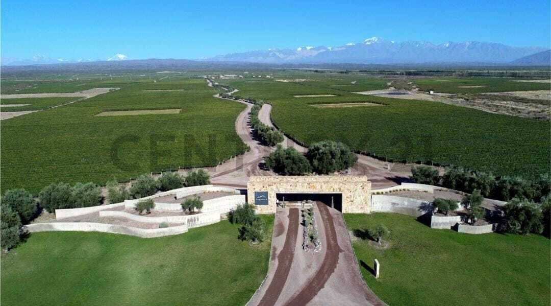 Terreno en Venta en Lujan de Cuyo, Mendoza