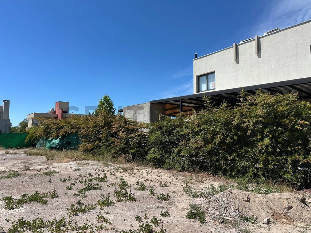 Terreno en Venta en Lujan de Cuyo, Mendoza