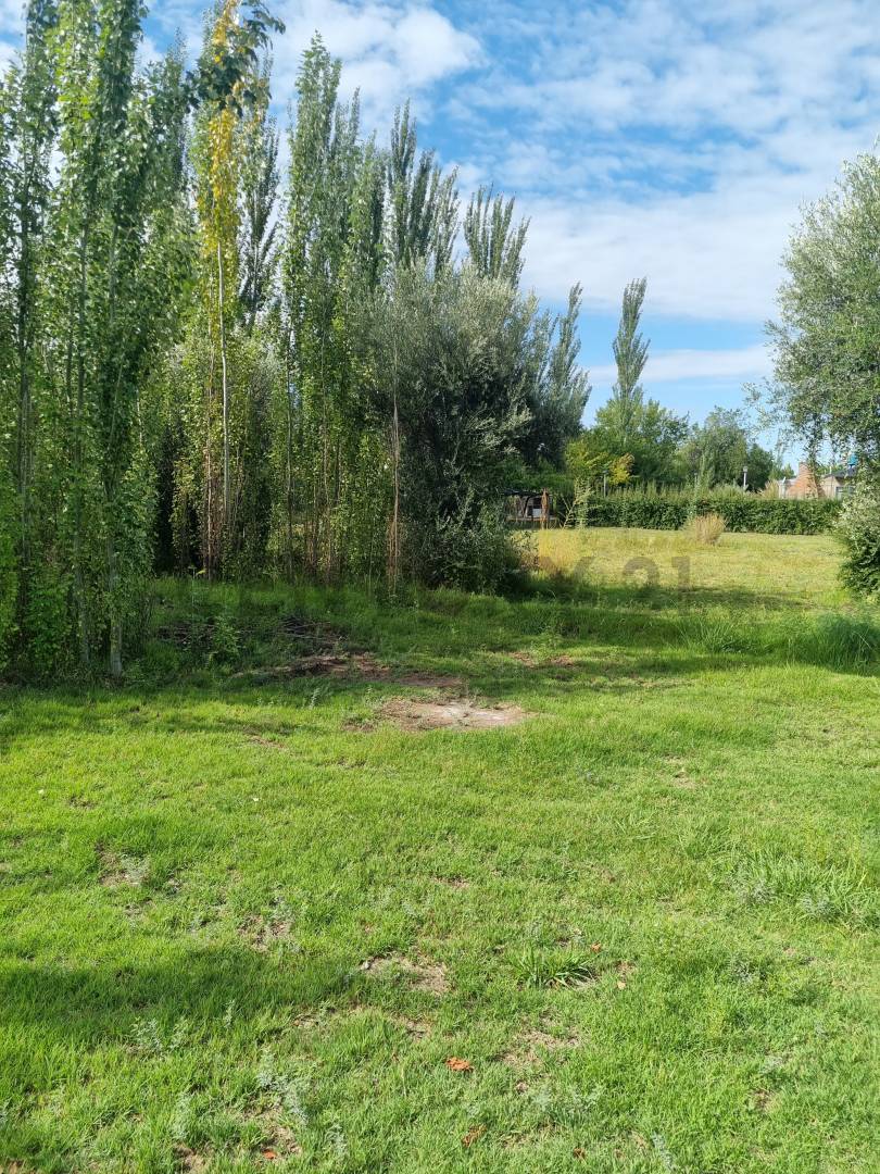 Terreno en Venta en San Rafael, Mendoza