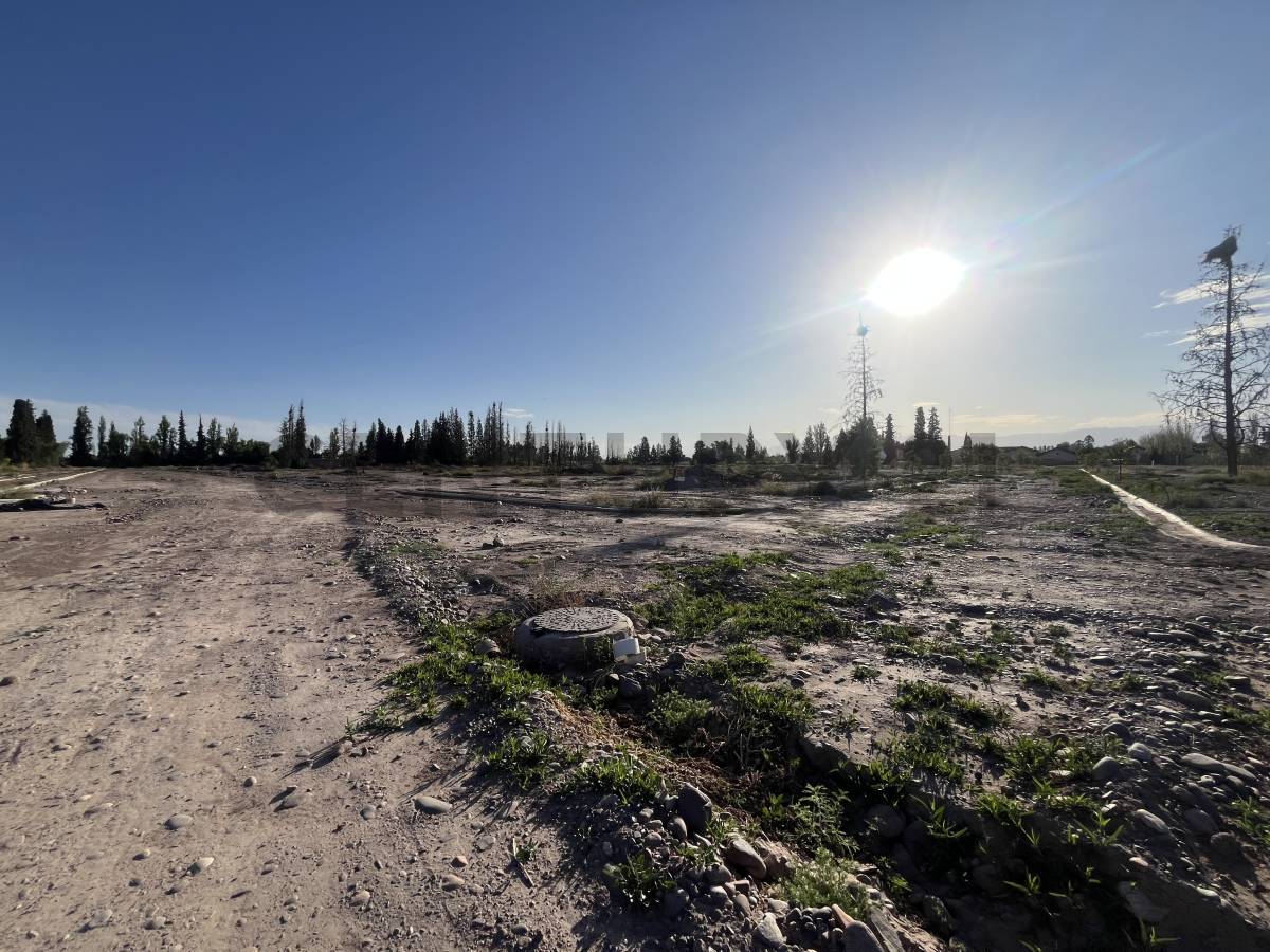 Terreno en Venta en Maipu, Mendoza