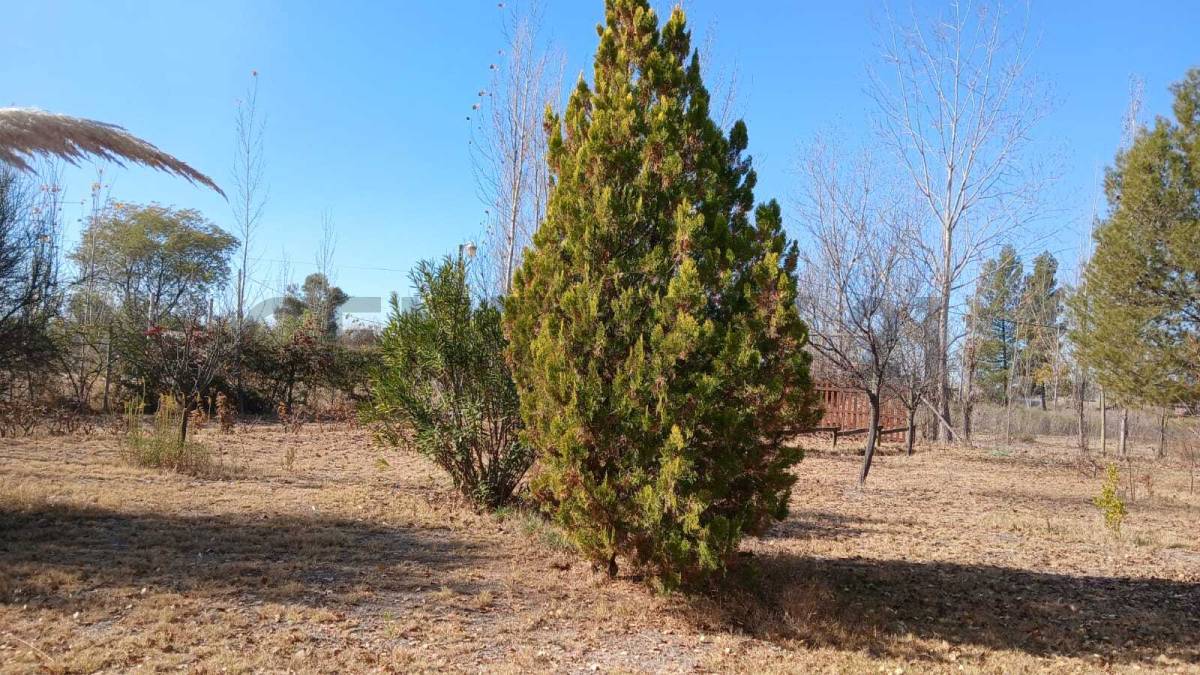 Terreno en Venta en Maipu, Mendoza
