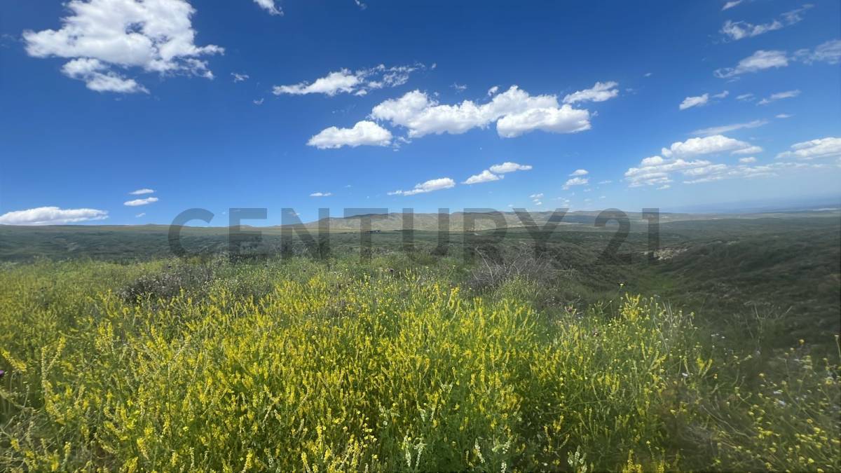 Terreno en Venta en Tupungato, Mendoza