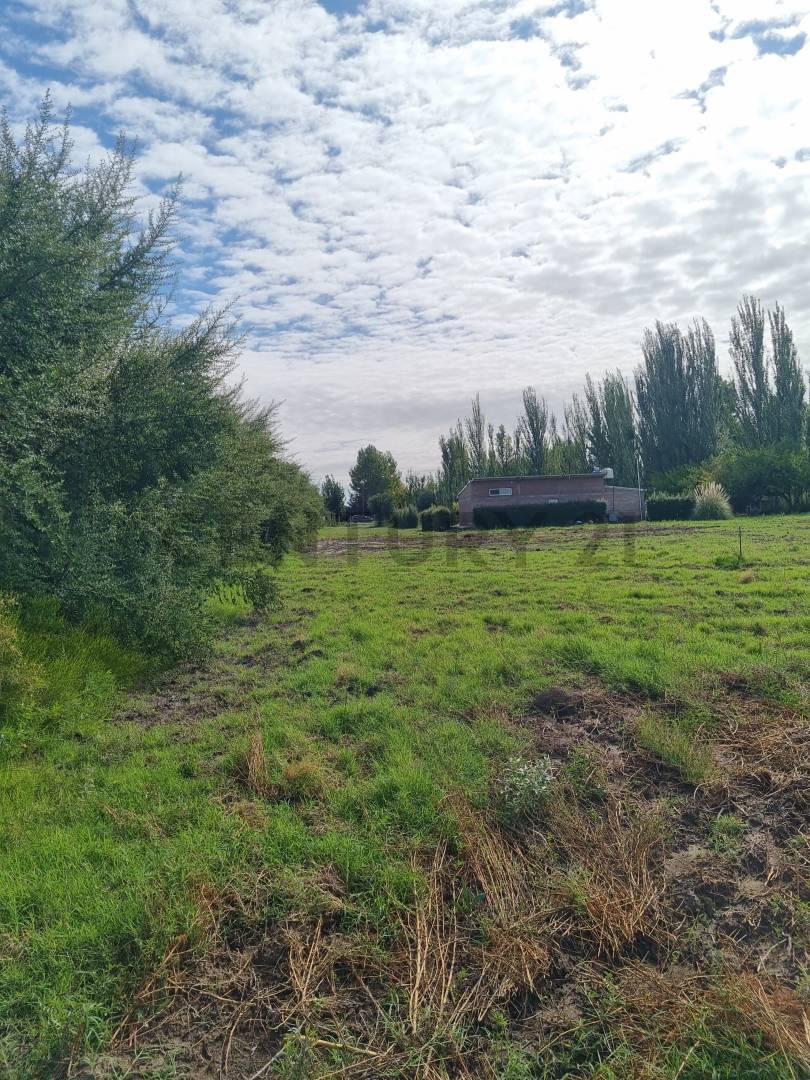 Terreno en Venta en San Rafael, Mendoza