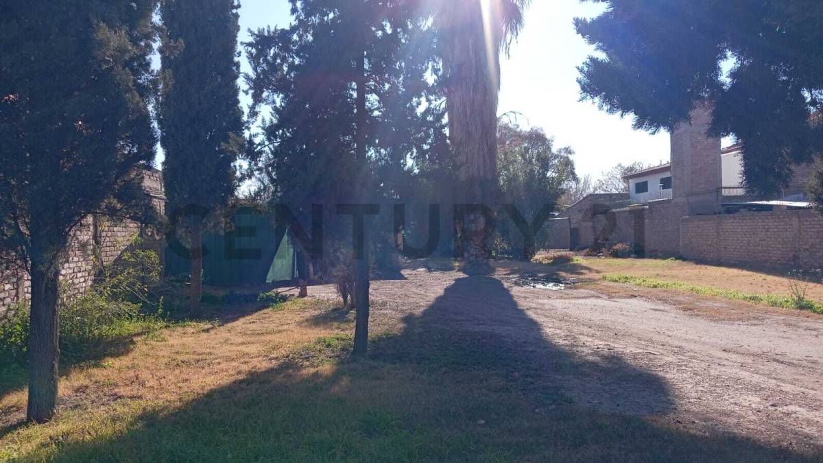 Terreno en Venta en Lujan de Cuyo, Mendoza