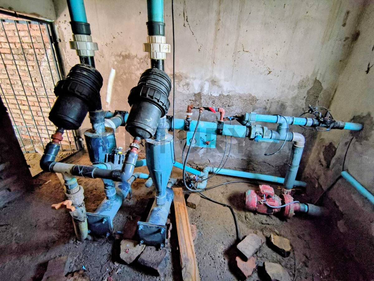 Campo en Venta en San Martin, Mendoza