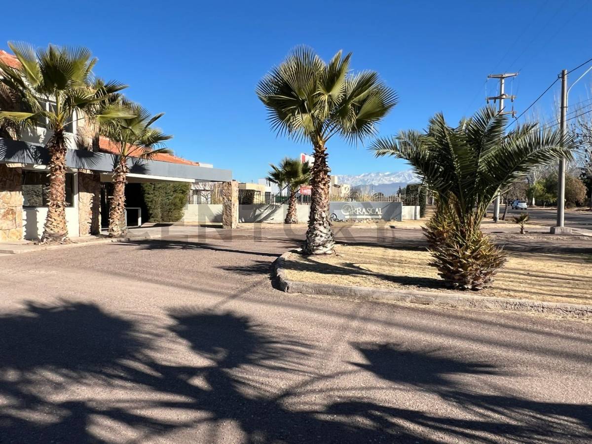 Terreno en Venta en Maipu, Mendoza
