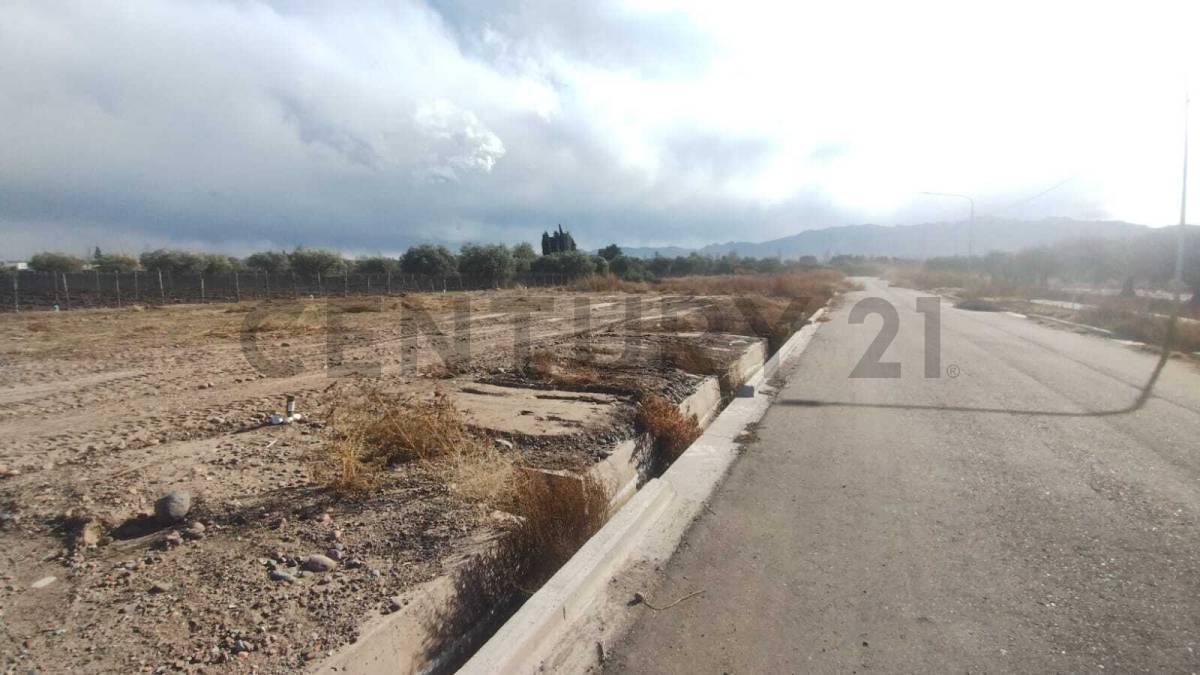 Terreno en Venta en Lujan de Cuyo, Mendoza