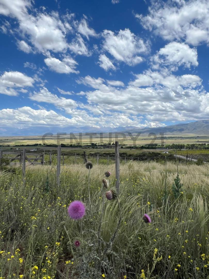 Terreno en Venta en Tupungato, Mendoza