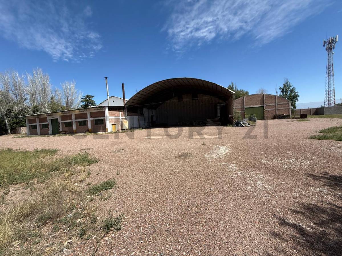 Galpon en Venta en Maipu, Mendoza