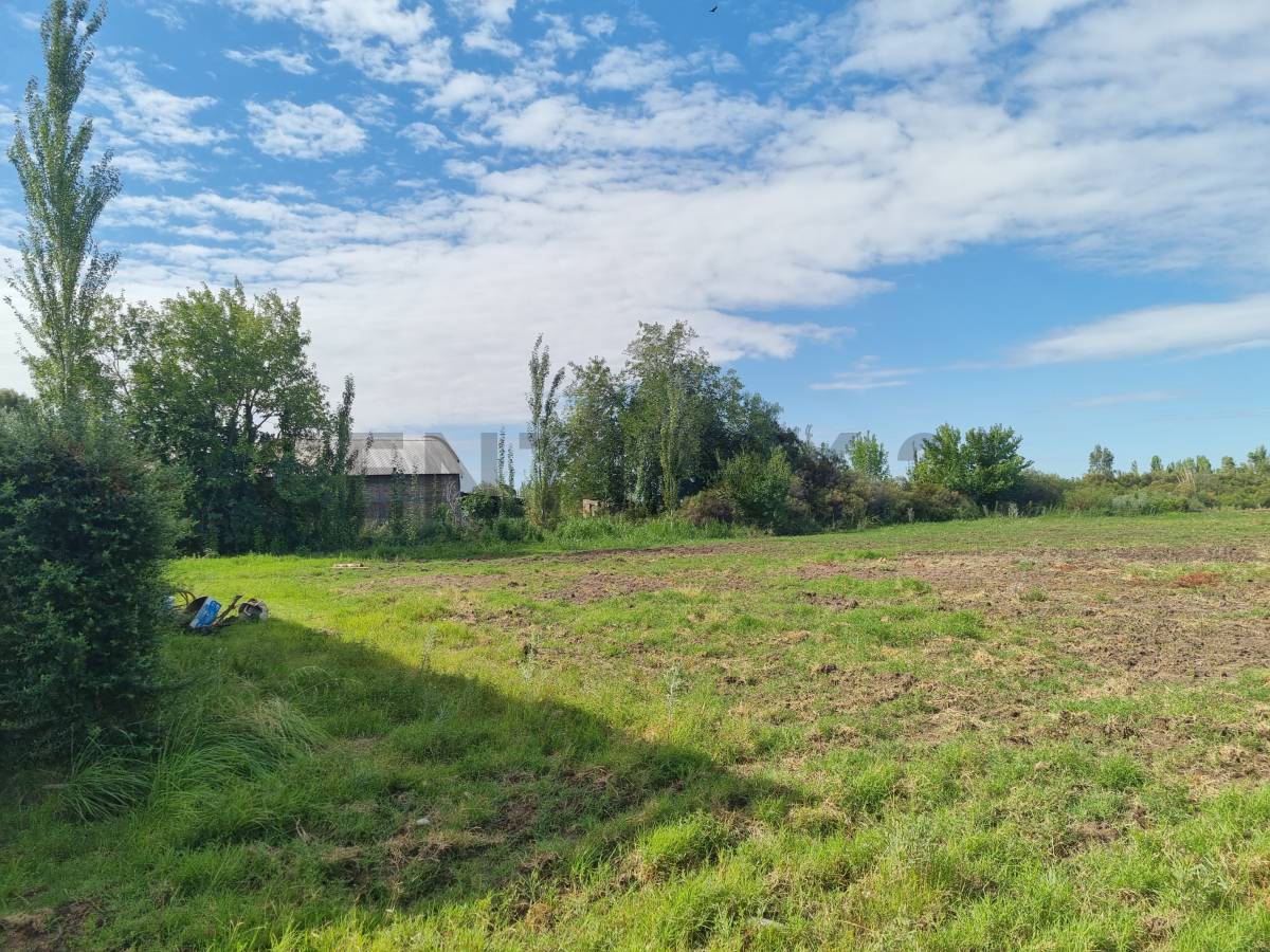 Terreno en Venta en San Rafael, Mendoza