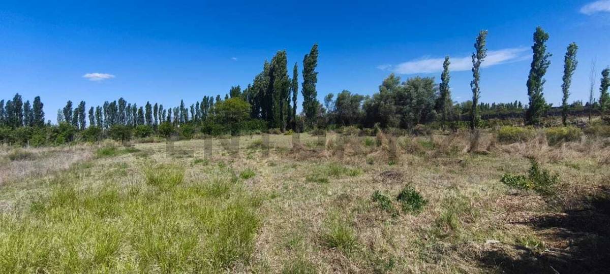 Terreno en Venta en San Rafael, Mendoza