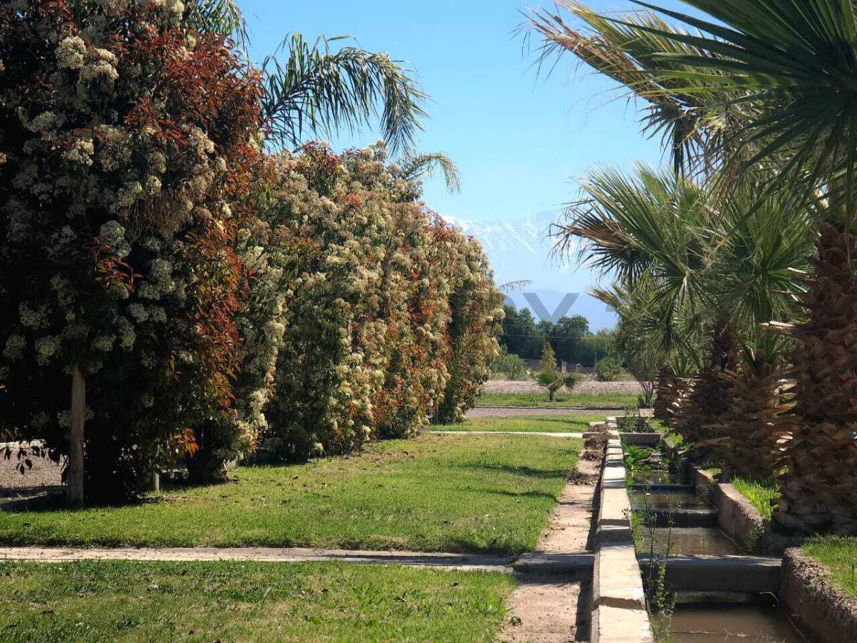 Terreno en Venta en Maipu, Mendoza