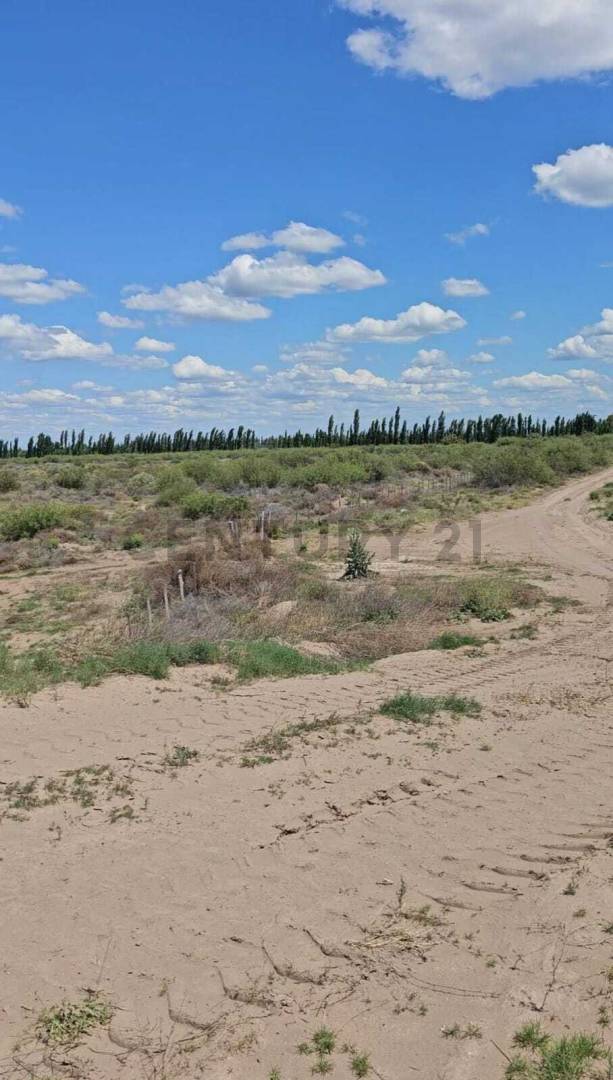 Campo en Venta en San Rafael, Mendoza