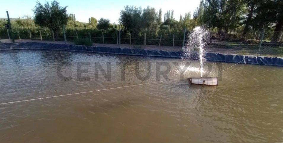 Terreno en Venta en Maipu, Mendoza