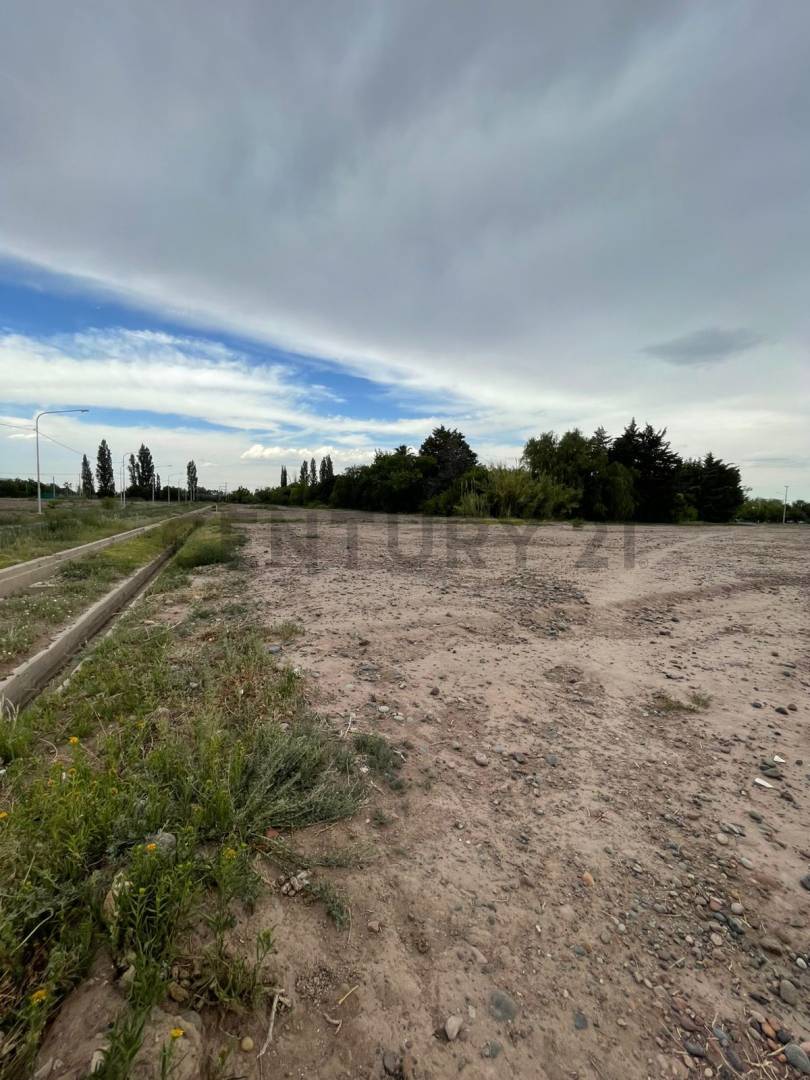 Terreno en Venta en Maipu, Mendoza
