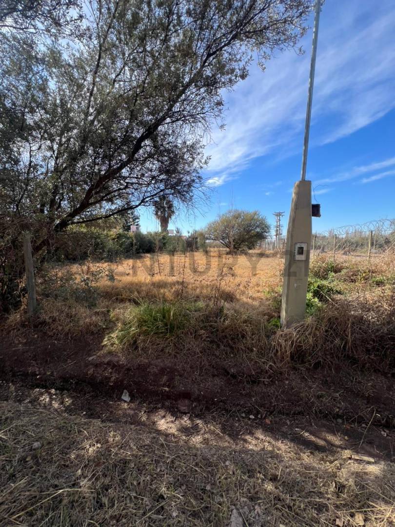Terreno en Venta en Lujan de Cuyo, Mendoza