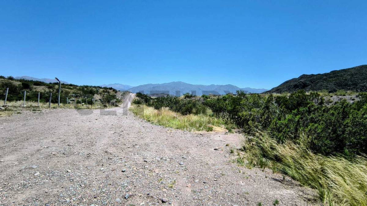 Terreno en Venta en Lujan de Cuyo, Mendoza