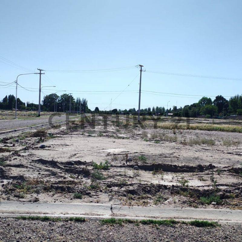 Terreno en Venta en Lujan de Cuyo, Mendoza