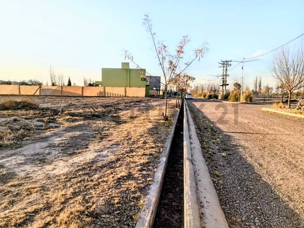 Terreno en Venta en Lujan de Cuyo, Mendoza