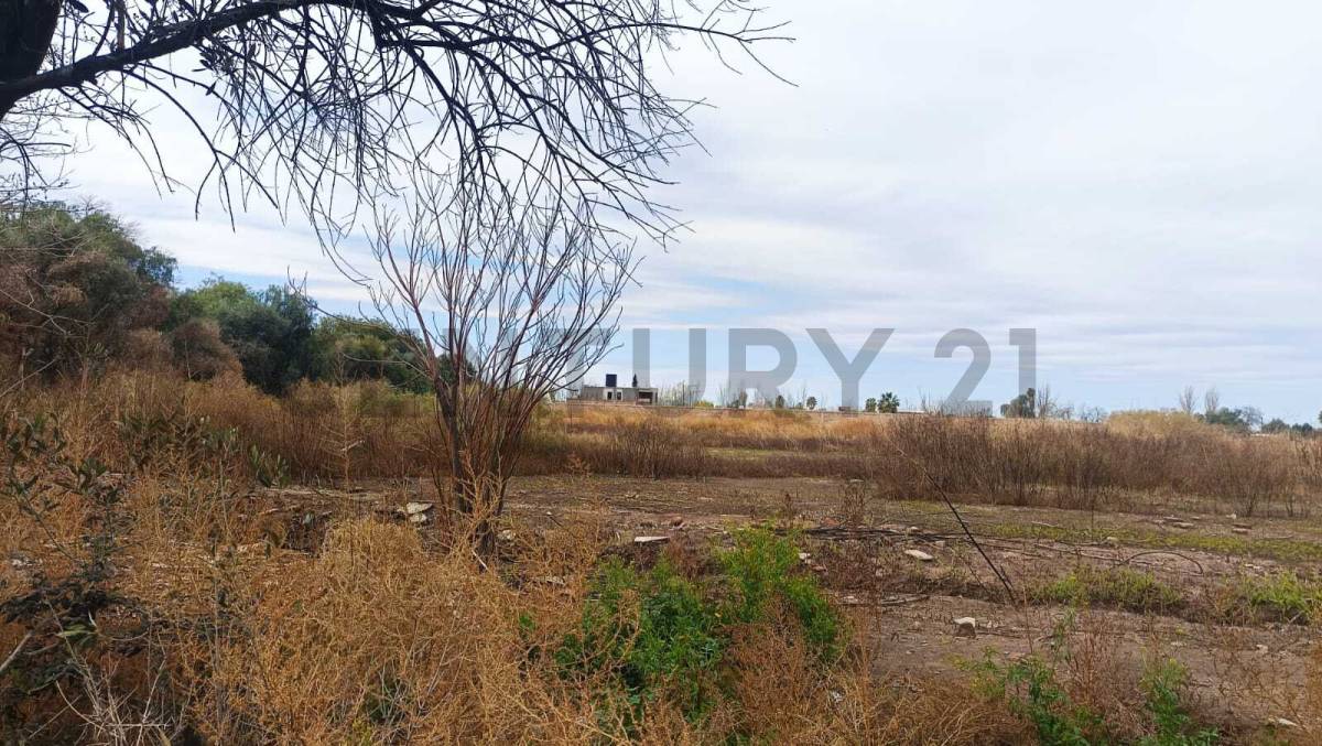 Terreno en Venta en Guaymallen, Mendoza