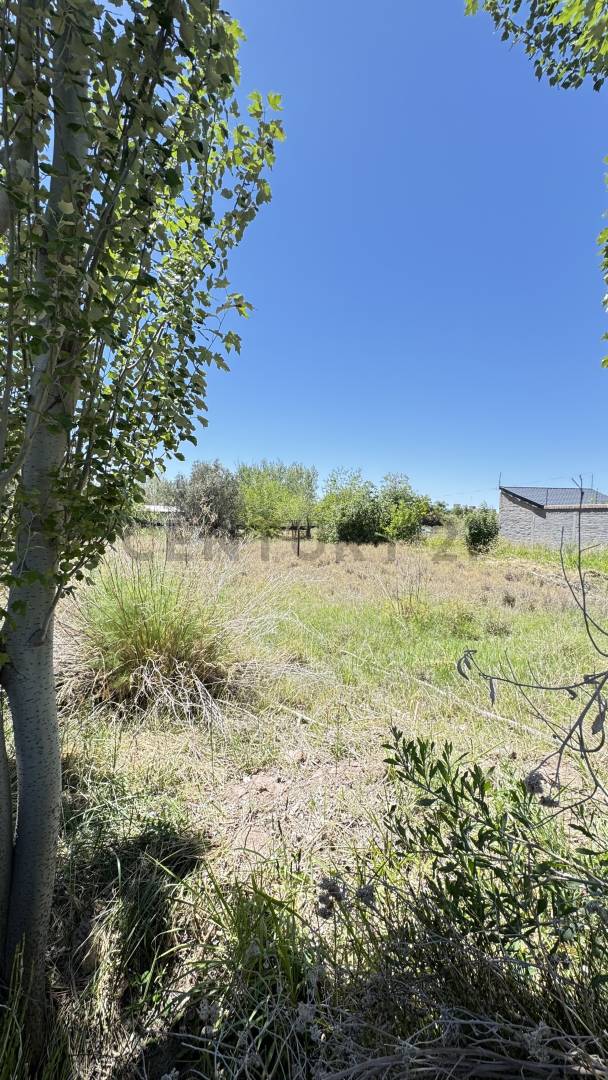 Terreno en Venta en Maipu, Mendoza