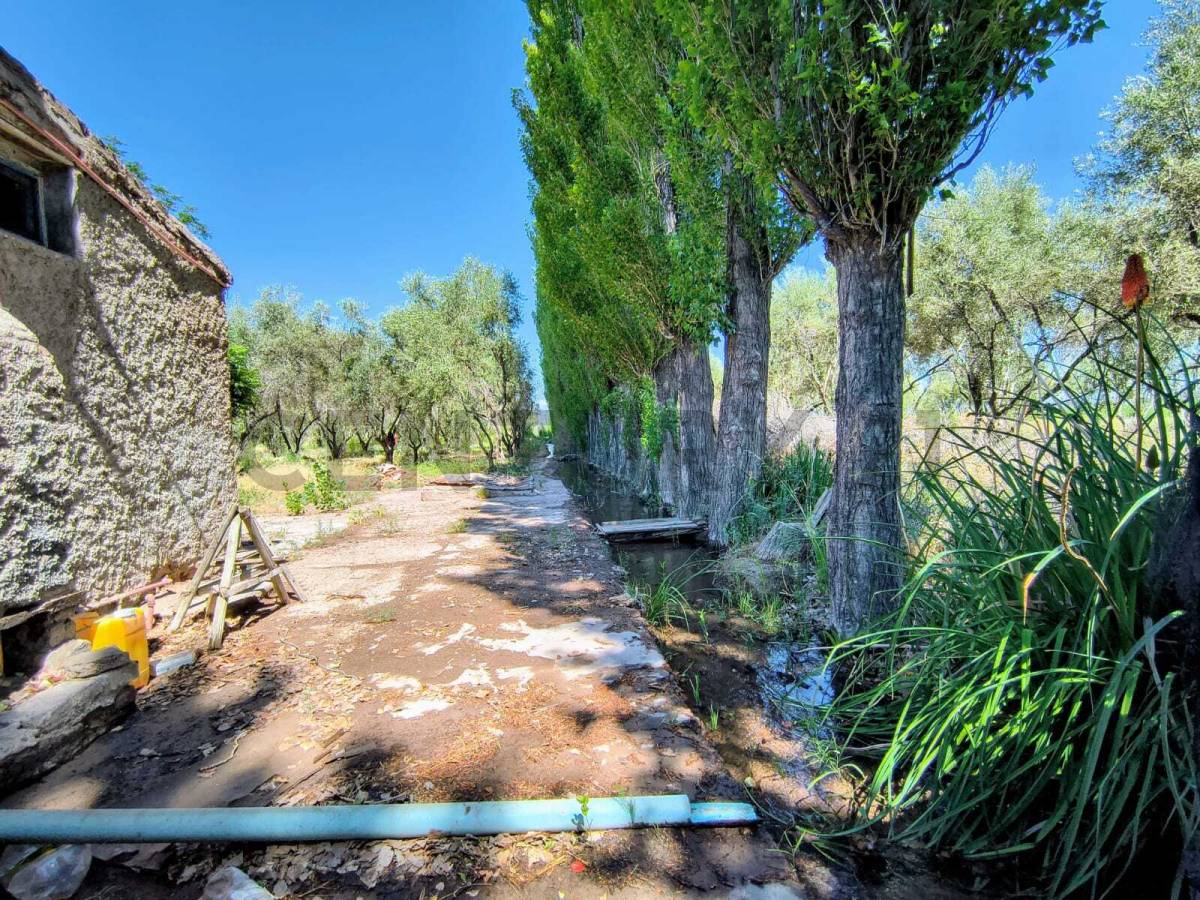 Campo en Venta en San Martin, Mendoza