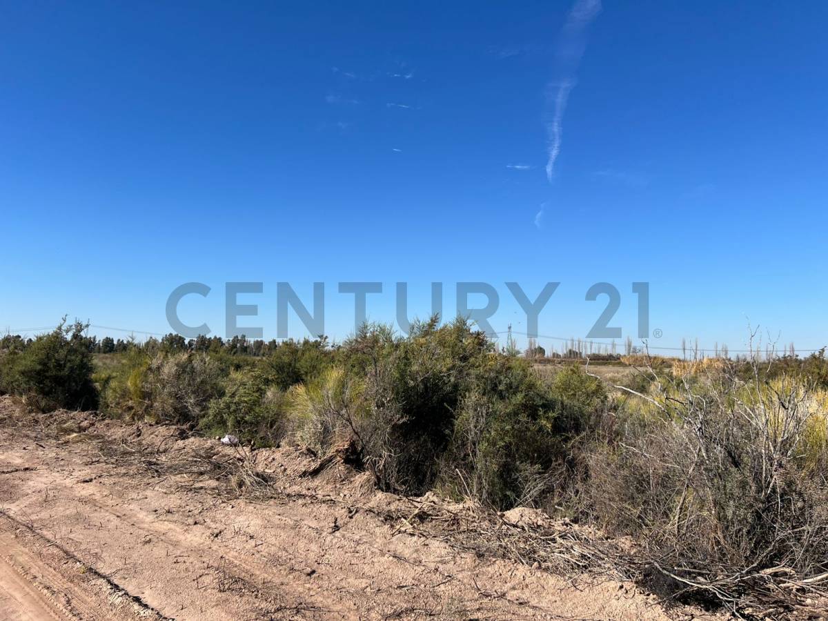 Terreno en Venta en Junin, Mendoza