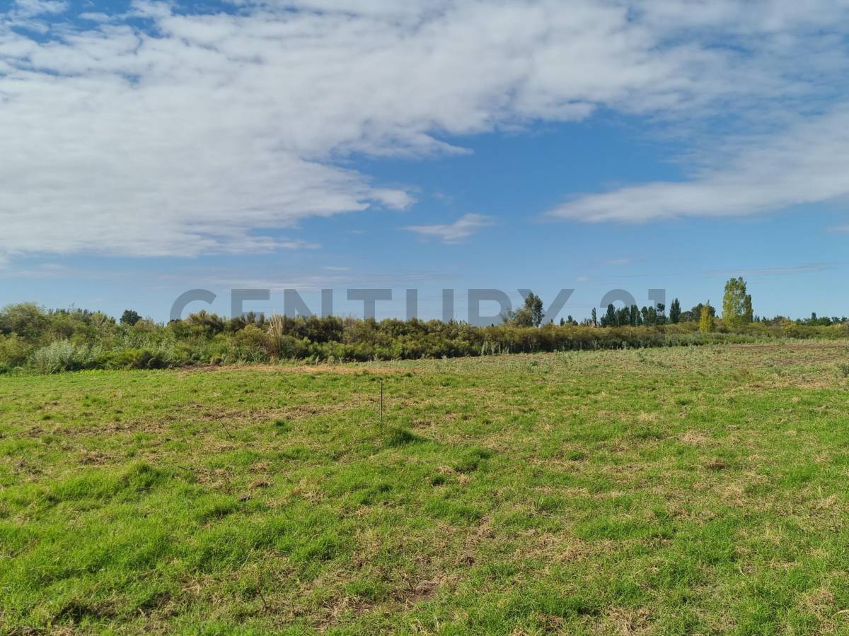 Terreno en Venta en San Rafael, Mendoza