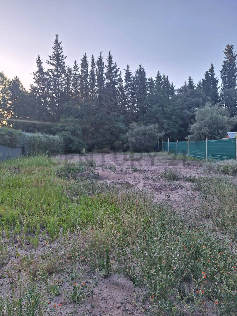 Terreno en Venta en Maipu, Mendoza