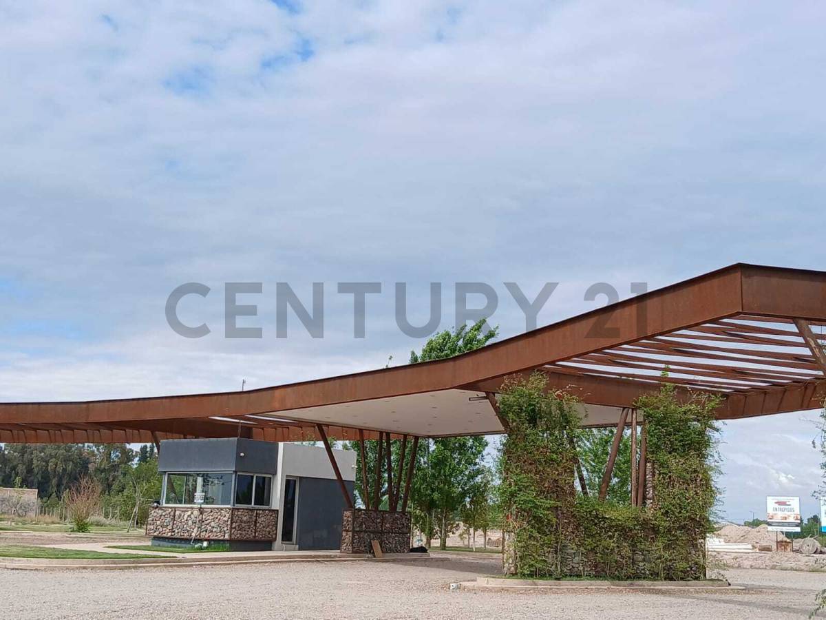 Terreno en Venta en Maipu, Mendoza
