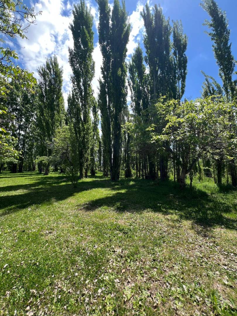 Campo en Venta en Tunuyan, Mendoza