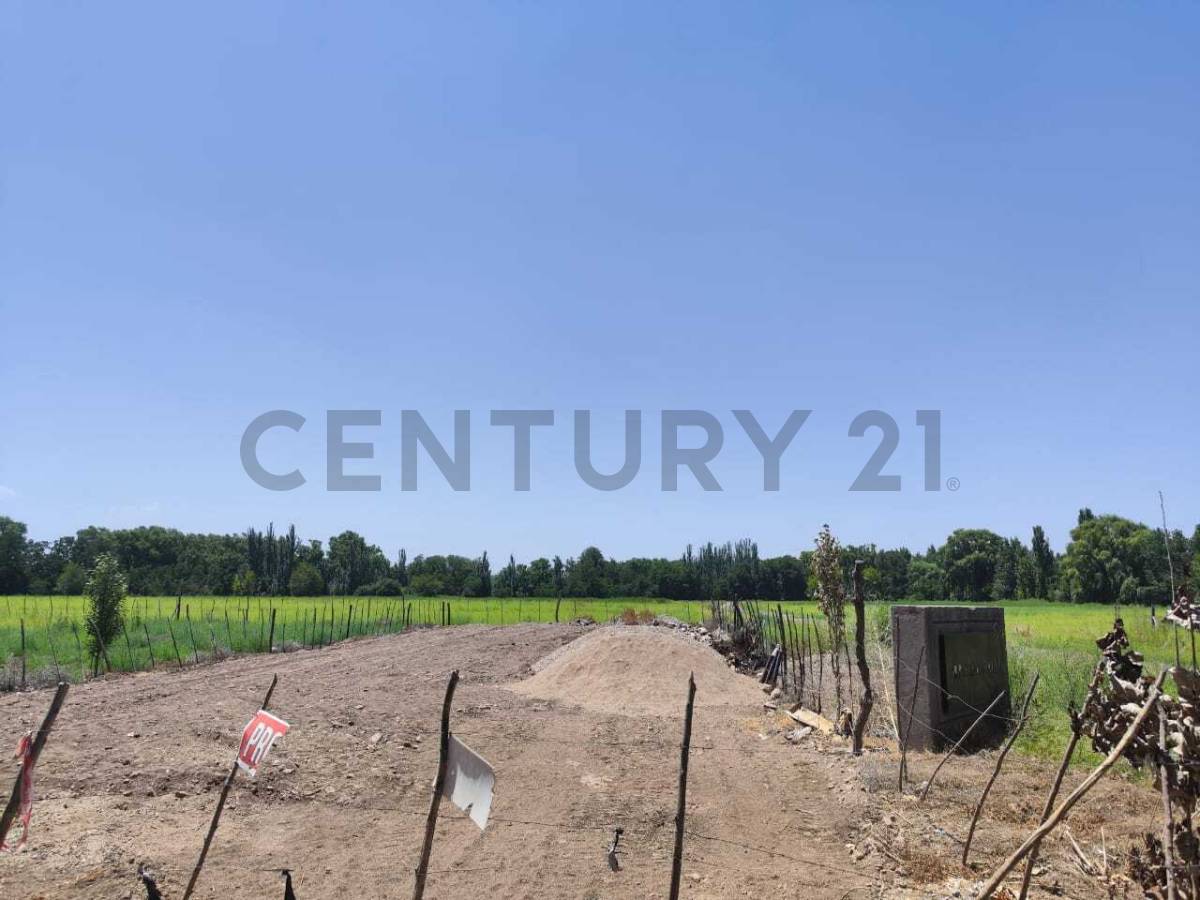 Terreno en Venta en Tunuyan, Mendoza