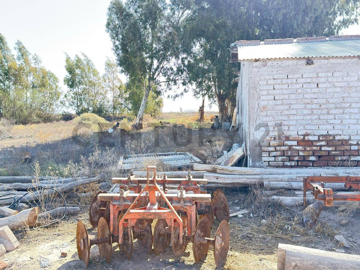 Terreno en Venta en Lavalle, Mendoza