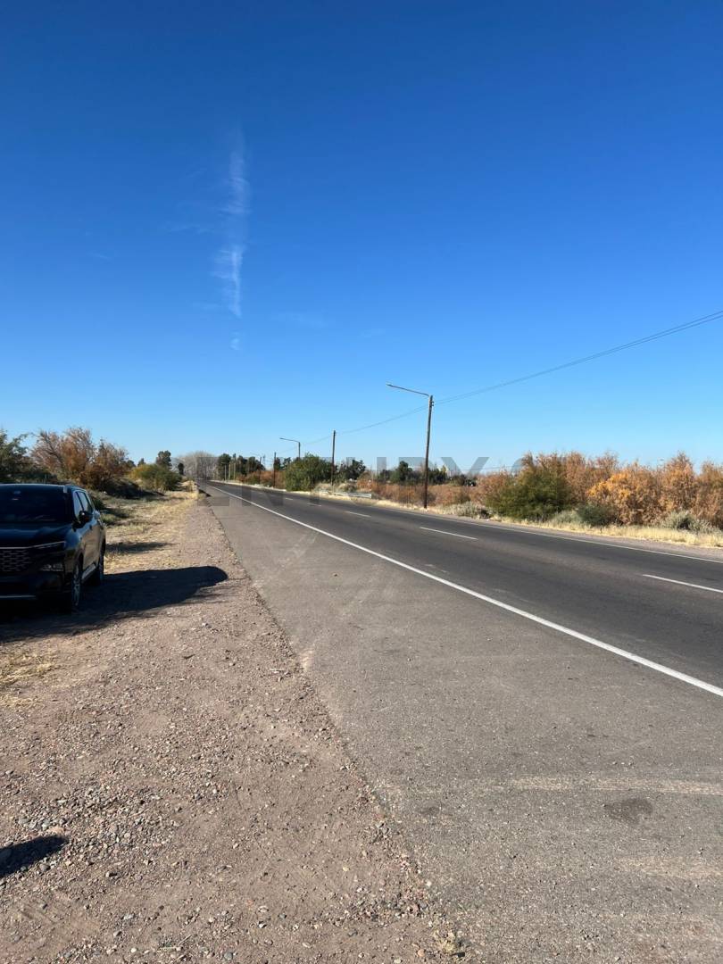 Terreno en Venta en Junin, Mendoza
