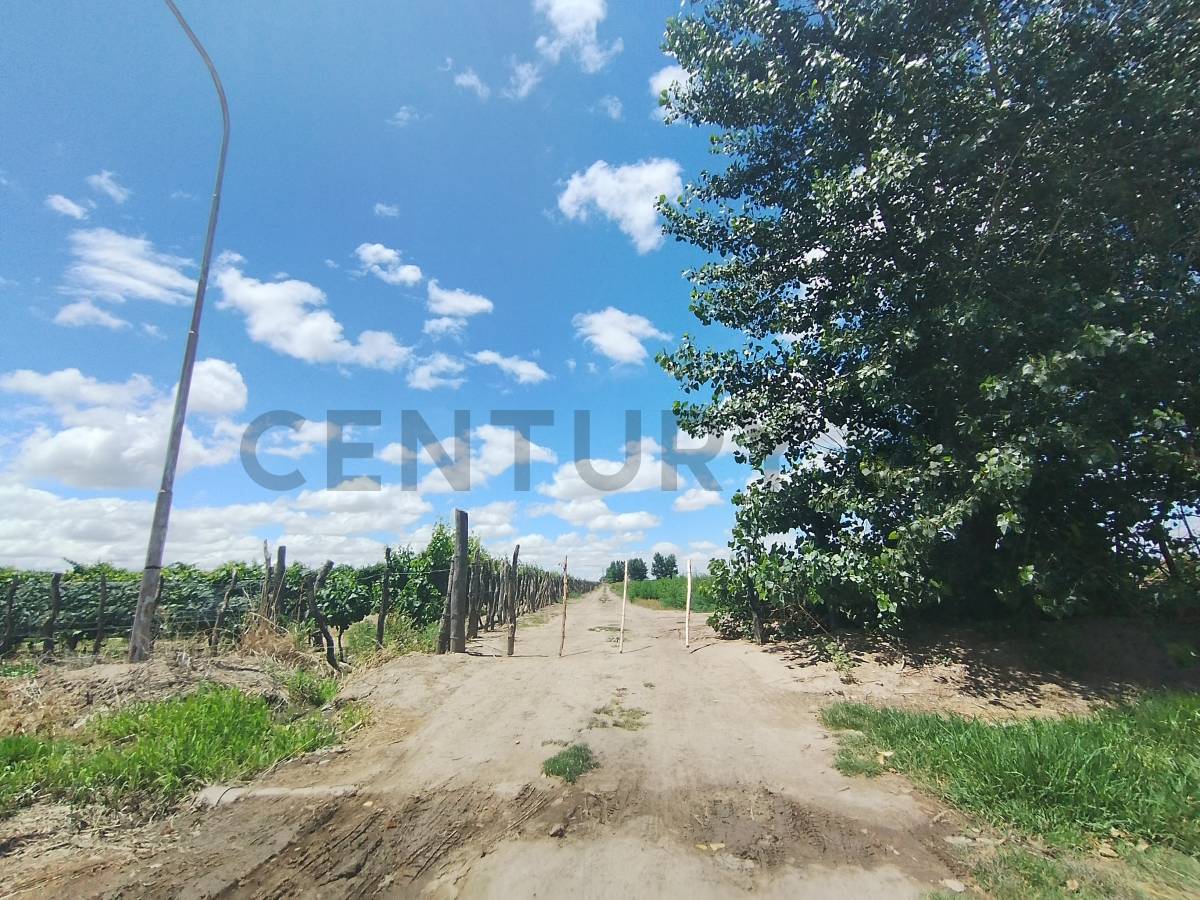 Casa Quinta en Venta en Tupungato, Mendoza