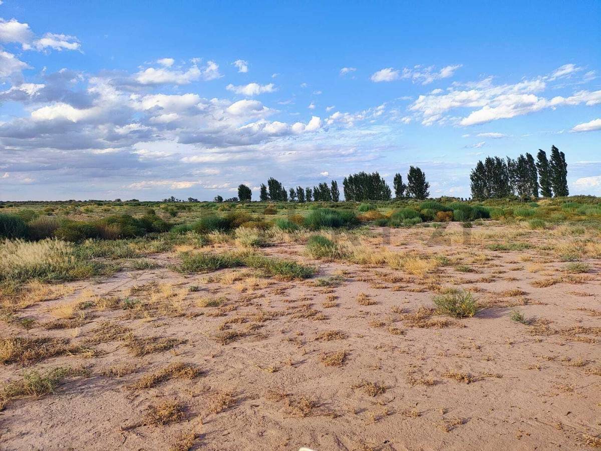 Terreno en Venta en Lavalle, Mendoza