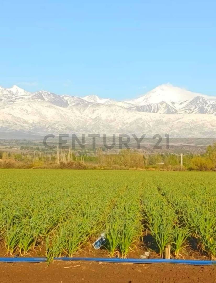 Casa Quinta en Venta en Tupungato, Mendoza