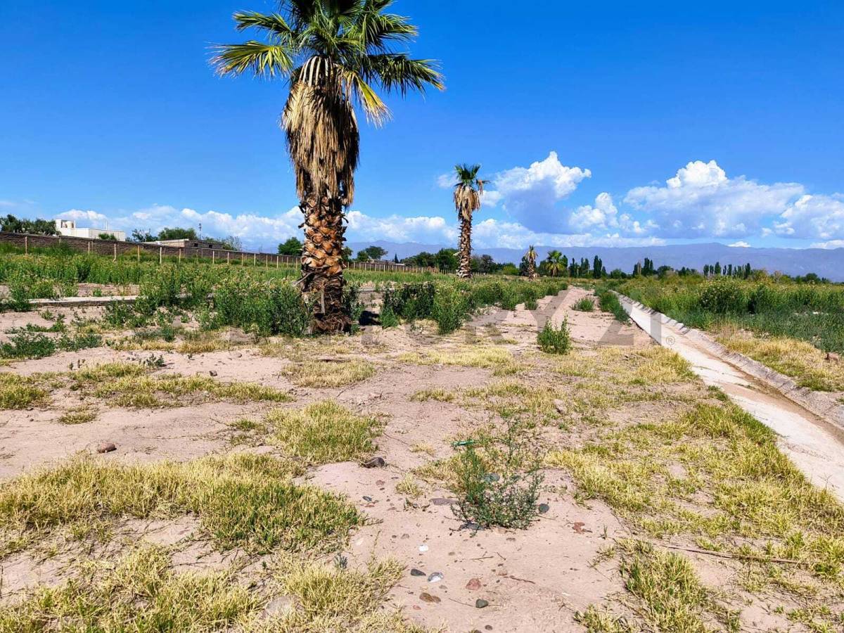 Terreno en Venta en Guaymallen, Mendoza