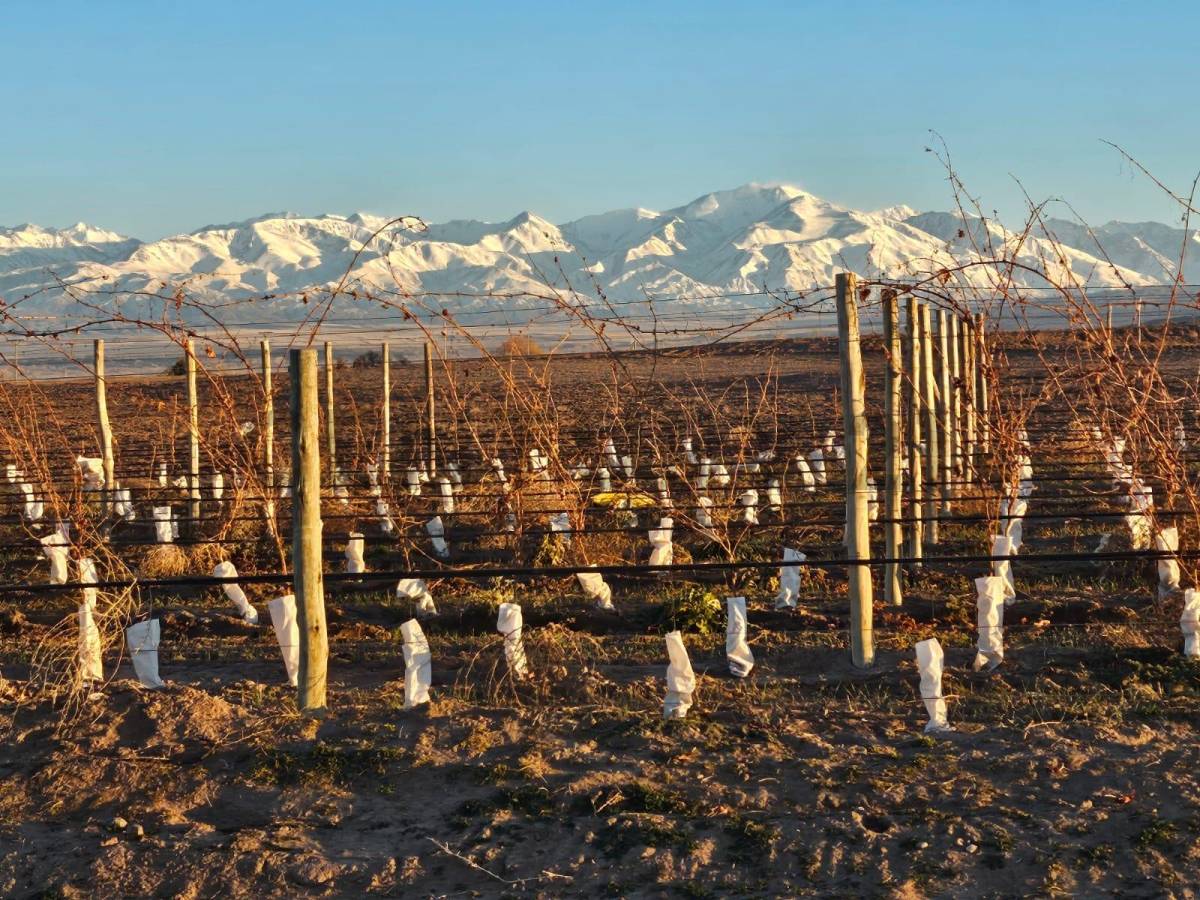 Terreno en Venta en Tupungato, Mendoza