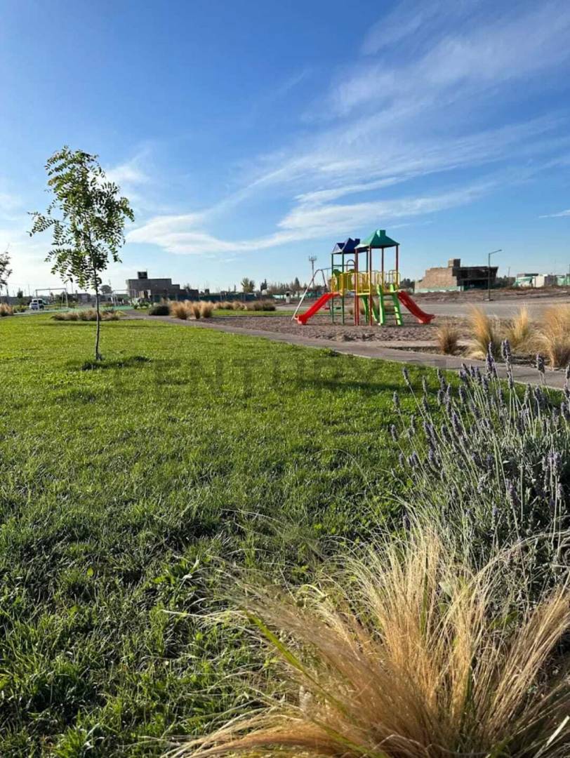 Terreno en Venta en Maipu, Mendoza